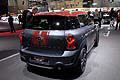 A seconda del mercato, la MINI Countryman Park Lane  disponibile in otto varianti di modello.